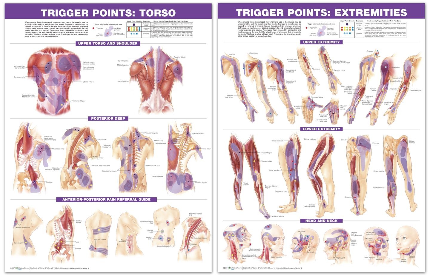 myofascial release trigger point